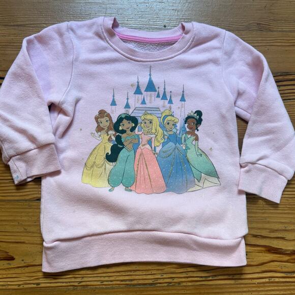 Disney Princess light pink princess graphic long sleeve crew sweatshirt SIZE 3T - Picture 1 of 5